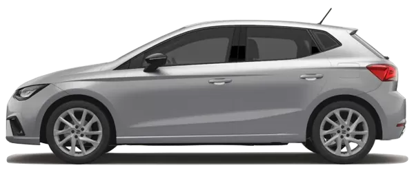 2025 Seat İbiza Kentsel Gümüş Metalik Color