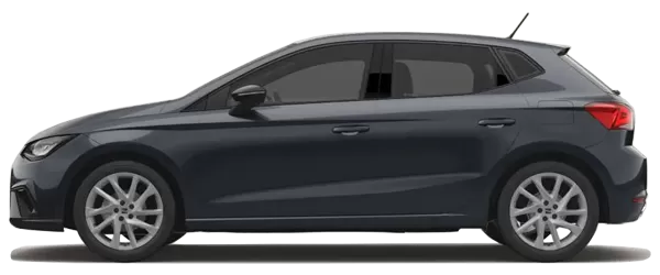 2025 Seat İbiza Manyetik Gri Metalik Color