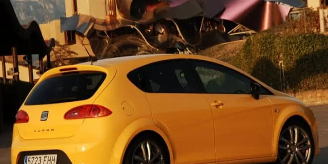 2009 Model 2.0 T FSI Cupra